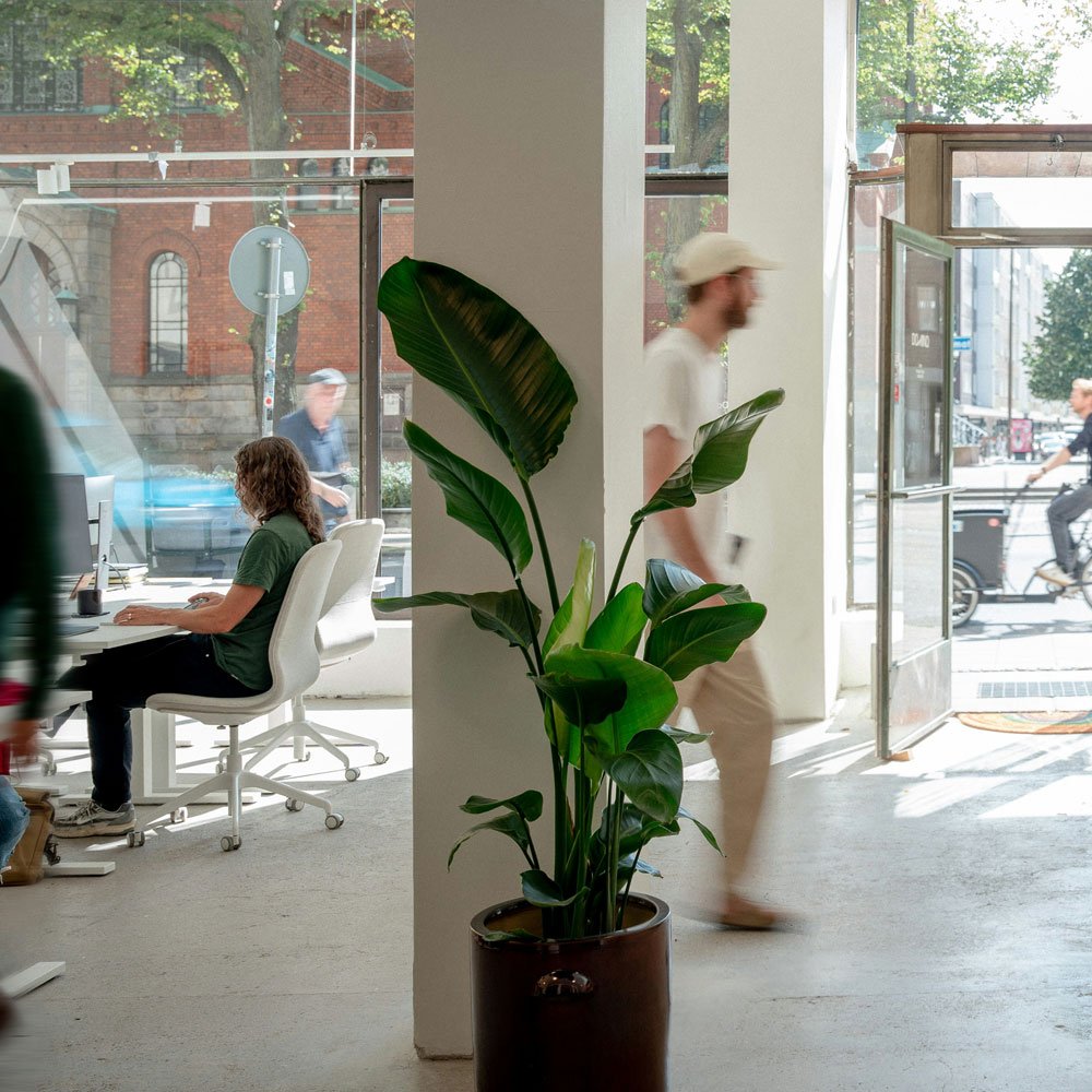 Immagine di uno studio grafico internazionale - Preview